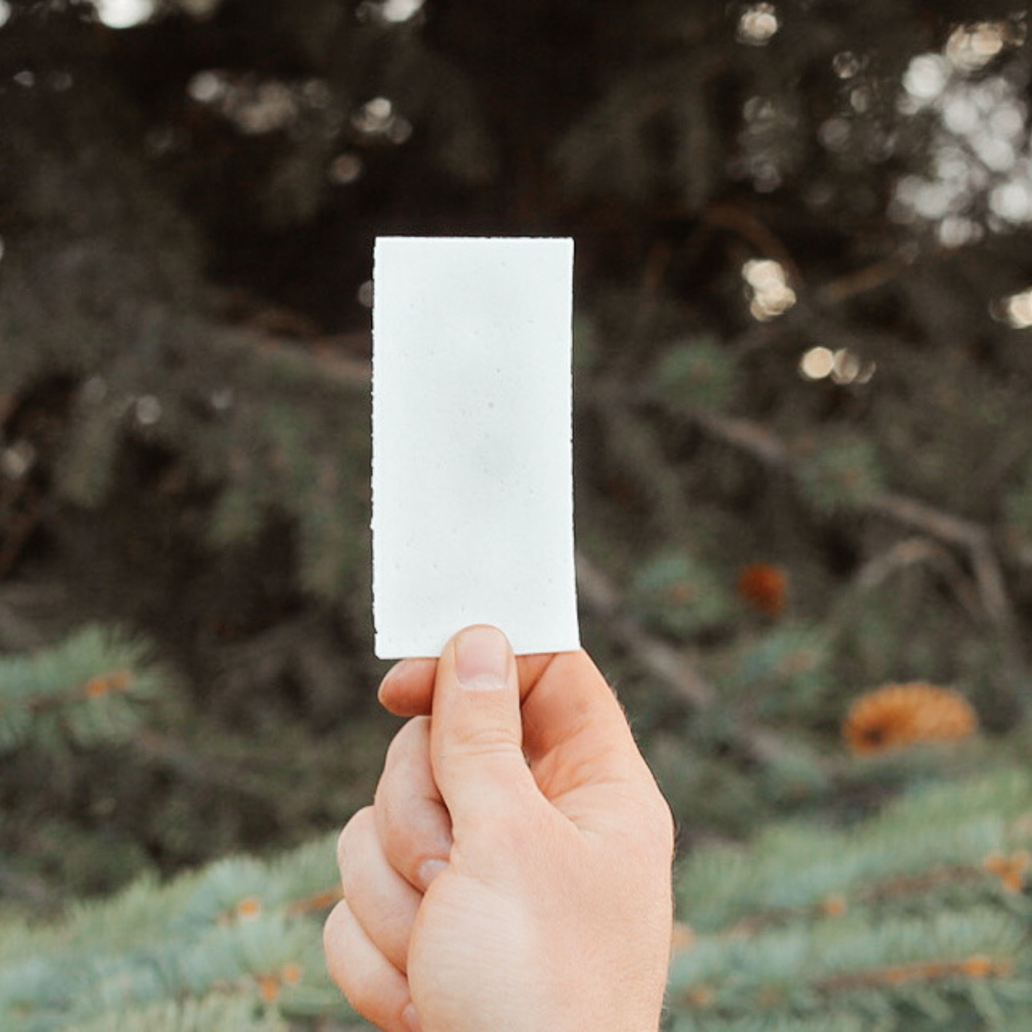 Untitled design (50) Untitled design (50)