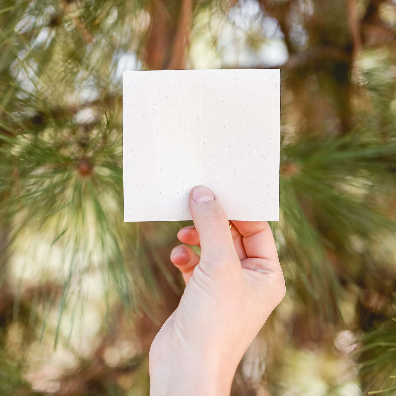 Laundry Detergent Sheets-1 Laundry Detergent Sheets-1