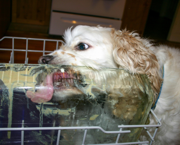 dishwasher pods vs liquid